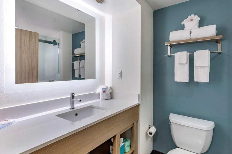 Bathroom 4, Comfort Suites Anderson-Clemson, Anderson