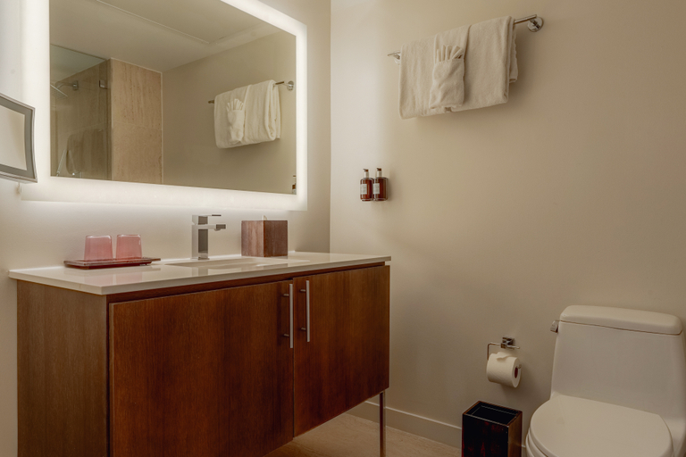 Bathroom, Iberostar Waves Miami Beach, Miami-Dade