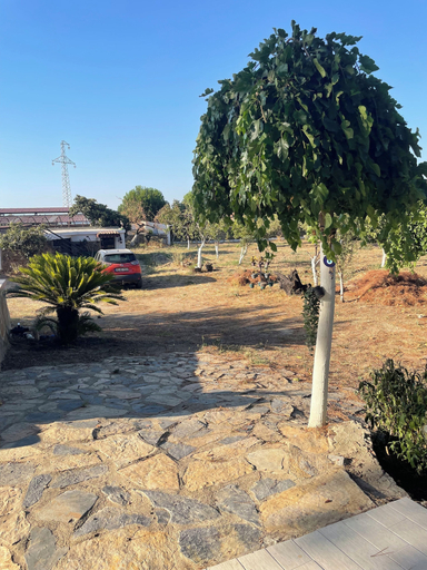 Garden 3, Saygın Farmhouse Ephesus Boutique Hotel, Tire
