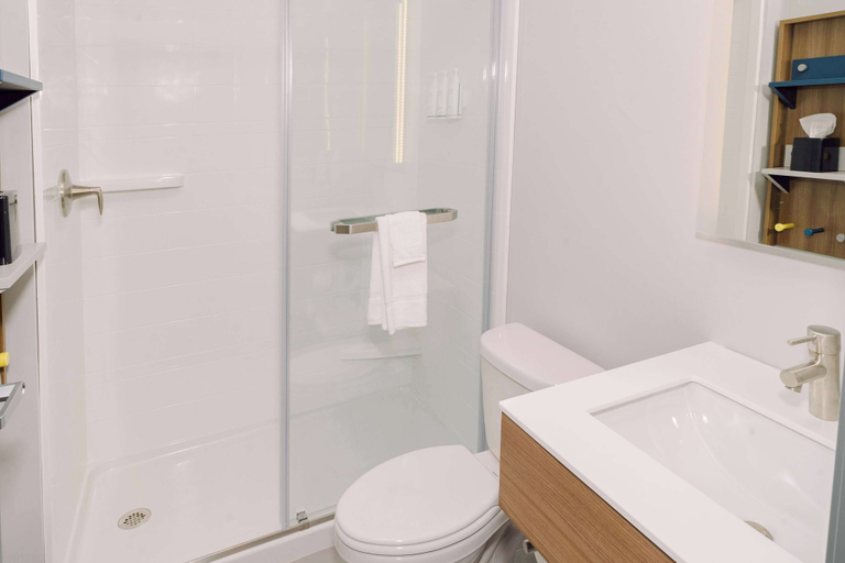 Bathroom 4, Microtel Inn & Suites by Wyndham Newark NY, Wayne