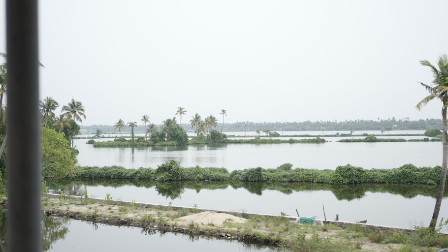 View from property 4, KUZHUPPILLY BEACH HOUSE, Ernakulam