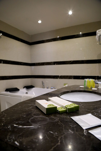 Bathroom 4, Grand East Hotel Dead Sea, Shooneh Janoobiyyeh