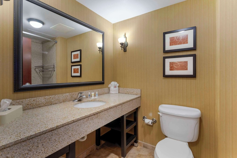 Bathroom 4, Comfort Suites Kodak Sevierville, Sevier