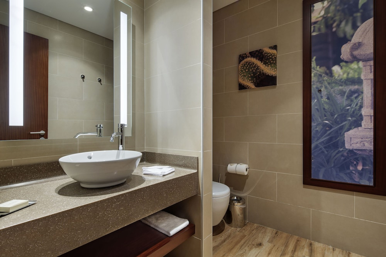 Bathroom 4, Hilton Garden Inn Corlu, Çorlu
