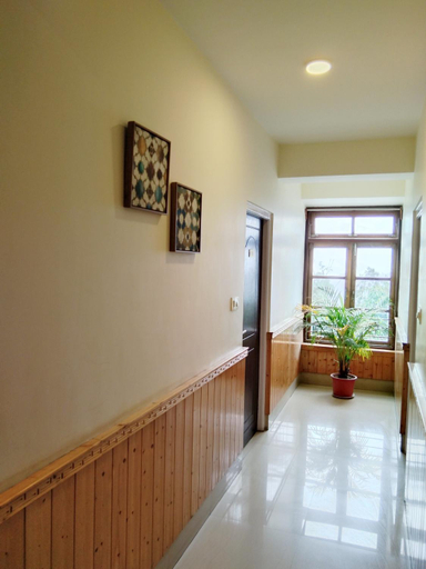 Others 3, Hotel Trekocity, East Sikkim