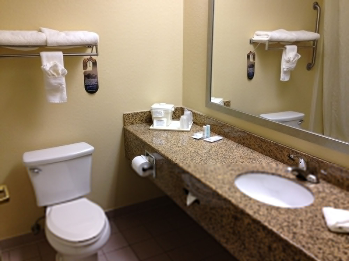 Others 5, Quality Inn & Suites Little Rock West, Pulaski