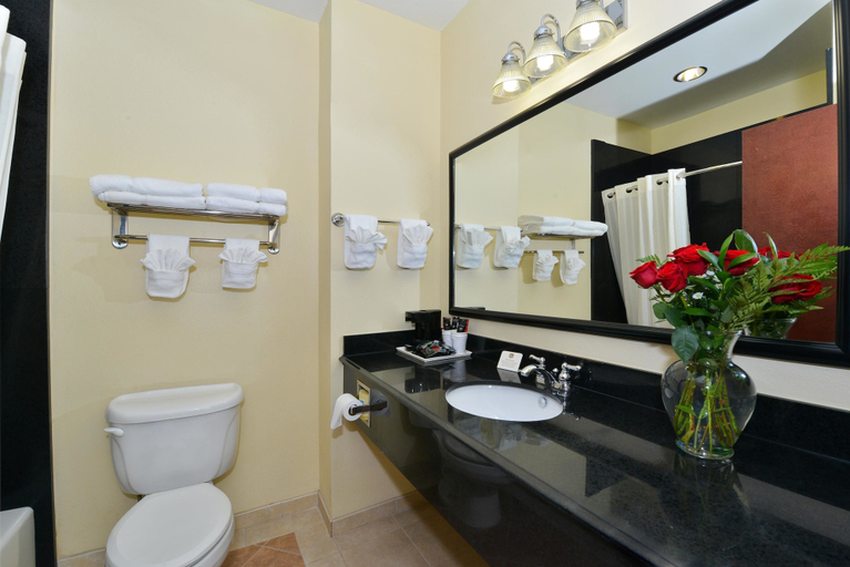 Bathroom 4, Best Western Lone Star Inn, Jackson