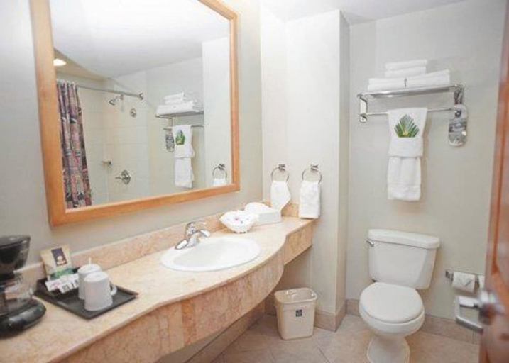 Bathroom 3, Sleep Inn Hotel Paseo Las Damas, San José