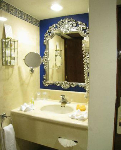 Bathroom 4, Hotel Emporio Zacatecas, Vetagrande