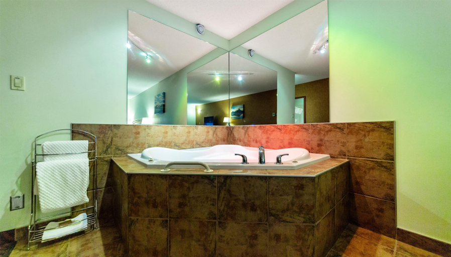 Bathroom 5, Service Plus Inns and Suites, Division No. 6