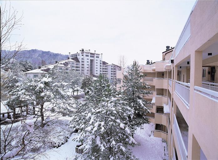 Others 2, Yongpyong Resort Villa Condominium, Pyeongchang