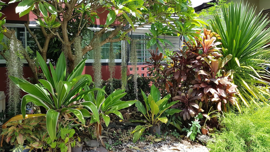 Others 5, Pakdee House, Muang Udon Thani