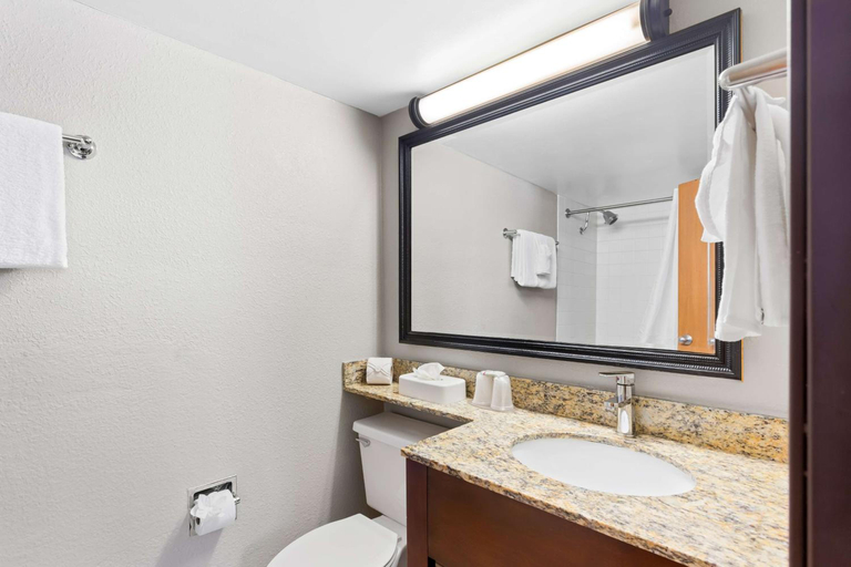 Bathroom 4, Best Western Naperville Inn, Dupage