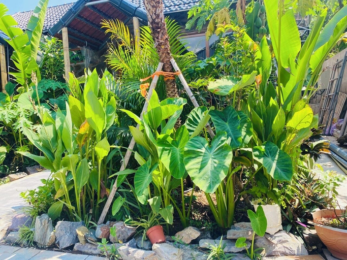 Courtyard 3, Rocky Mountain Ecolodge, Hoa Lư