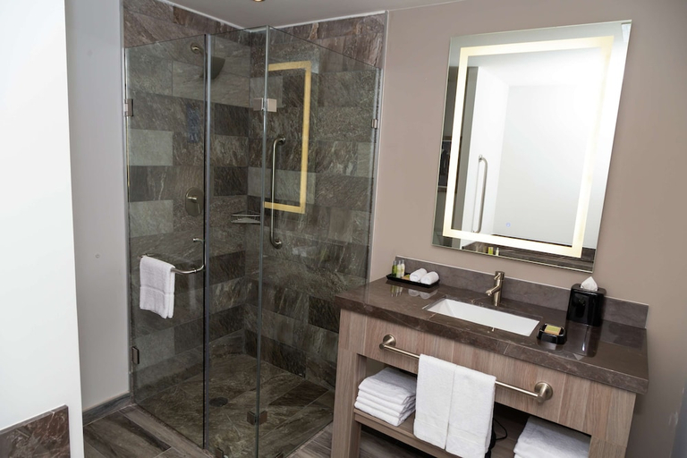 Bathroom 4, Hampton Inn & Suites by Hilton Puebla, Ocoyucan