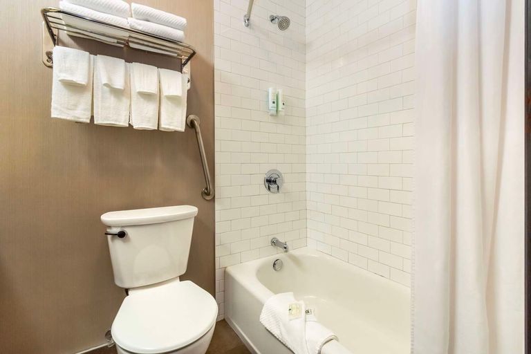 Bathroom 4, Quality Inn Waddling Dog, Capital