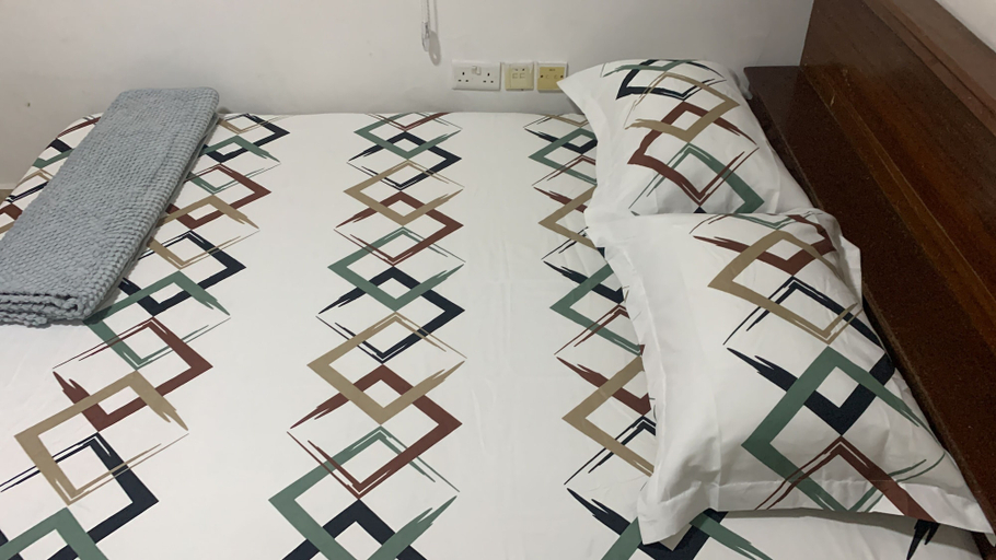 Room 2, CHAPEL HILL ONE-BEDROOM APARTMENT, Shama Ahanta East