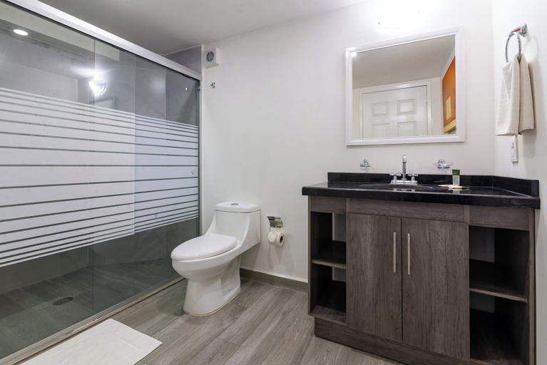 Bathroom 5, European Life Style Executive Suites, Zapopan