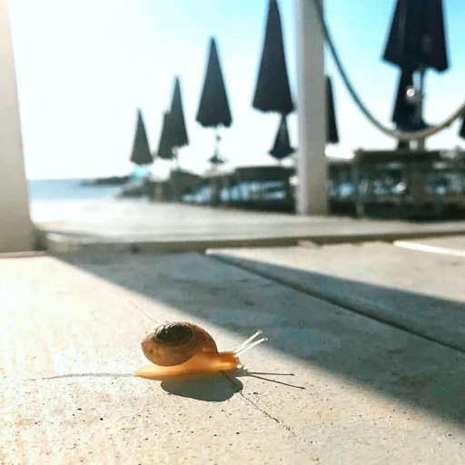 Others 5, Hotel Tokio Home-Tokio Beach dependence, Ravenna