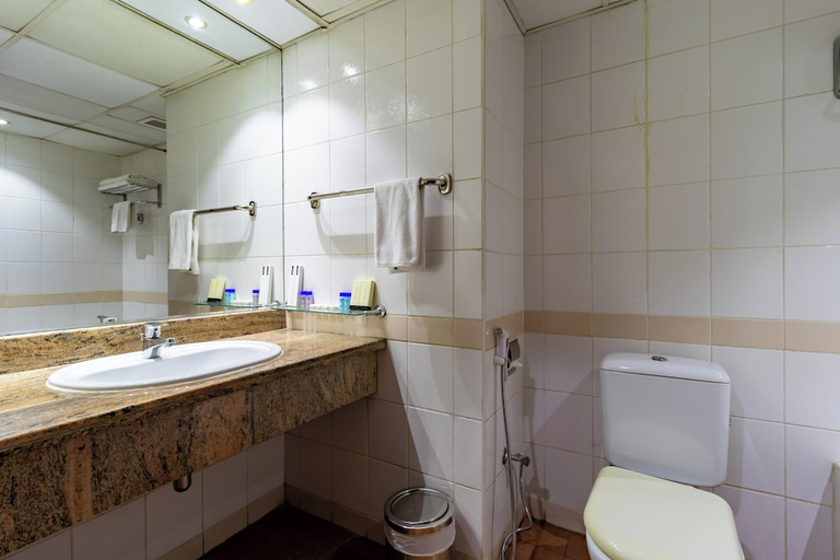 Bathroom 5, City palace Hotel, Dubai
