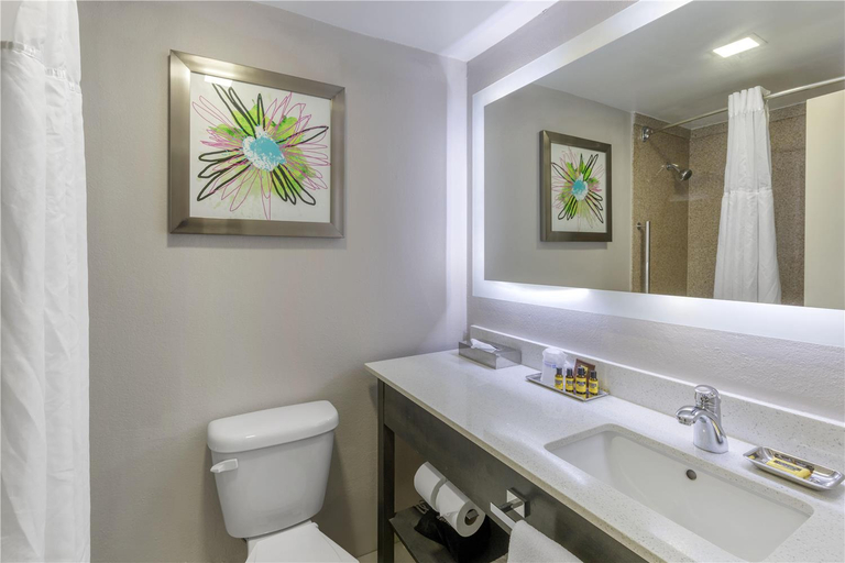 Bathroom 4, Best Western Plus Clemson Hotel & Conference Center, Pickens
