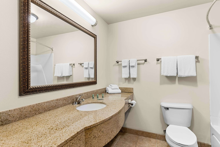 Bathroom 4, Bw Legacy Inn & Suites Beloit-South Beloit, Winnebago