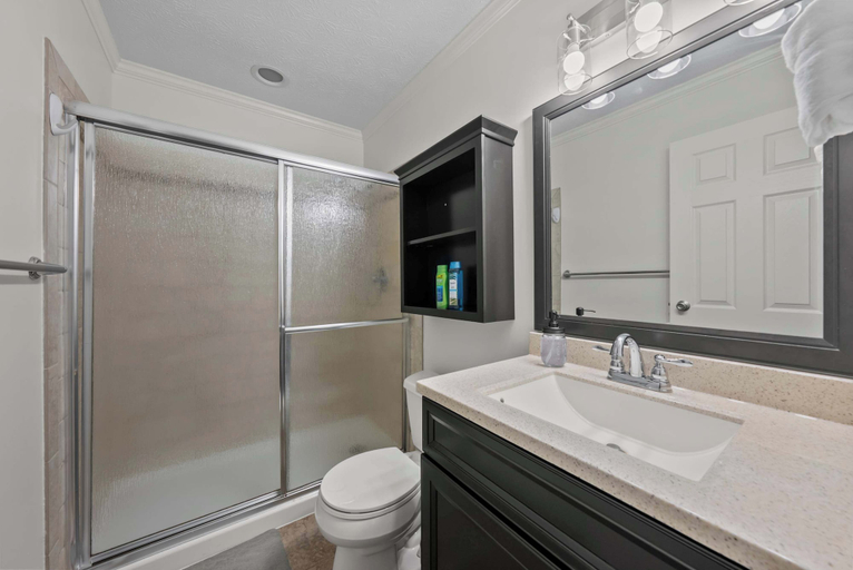 Bathroom 5, Dublin 5BR + Game Room Near Bridge Park + Zoo, Franklin