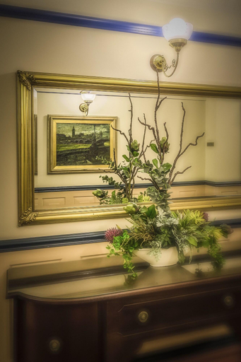 Public Area 3, Royal Albert Hotel, Brisbane