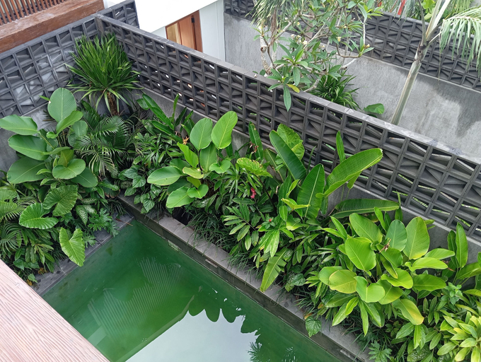 Pool, AKY Canggu, Badung