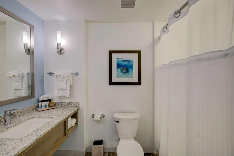 Bathroom 3, Best Western Premier The Tides, Baldwin