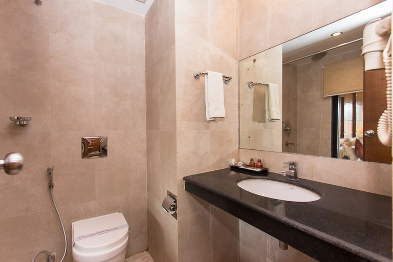 Bathroom 5, Landmark Forest Park, Narayani