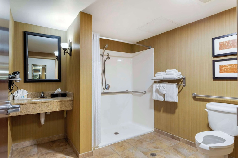 Bathroom 4, Comfort Suites Kodak Sevierville, Sevier
