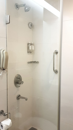 Bathroom 4, Regenta Place, Bangalore, Bangalore