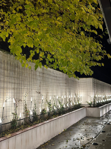 Exterior & Views 2, Boutique Hotel The Roots, Shkodrës