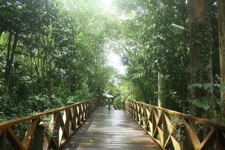 Others 4, Borneo Nature Lodge, Kinabatangan