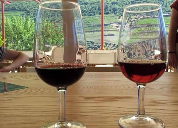 Bar (on property) 3, Haro San Vino Wine Fight Camping, La Rioja