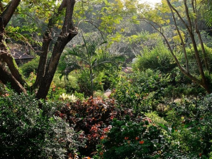 Others 4, Gaia's Garden Guest House, Viluppuram