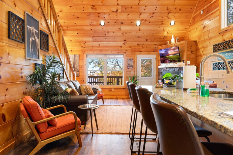 Interior 4, The Lookout Pair, Sevier