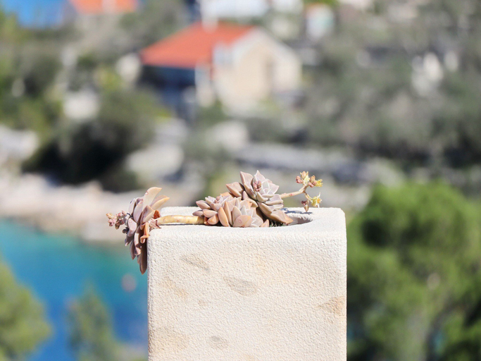 Others 4, Stone House Horizont, Vela Luka