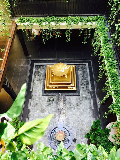 Sport & Beauty, Makkachiva, Muang Chiang Mai