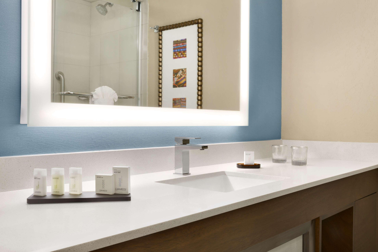 Bathroom 4, Embassy Suites by Hilton San Antonio Airport, Bexar