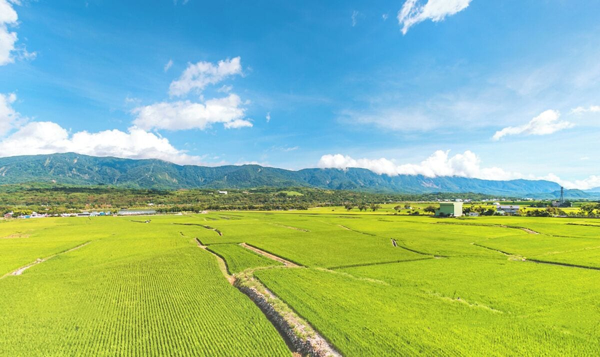 Terrace/patio 4, Rice House INN, Taitung
