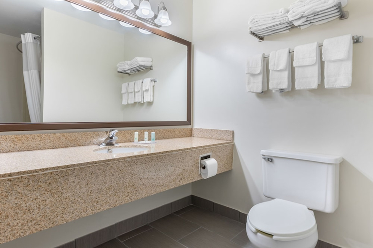 Bathroom 2, Quality Inn Fairborn near Wright Patterson AFB, Greene