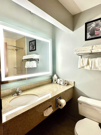 Bathroom 4, Americinn By Wyndham Marshfield, Wood