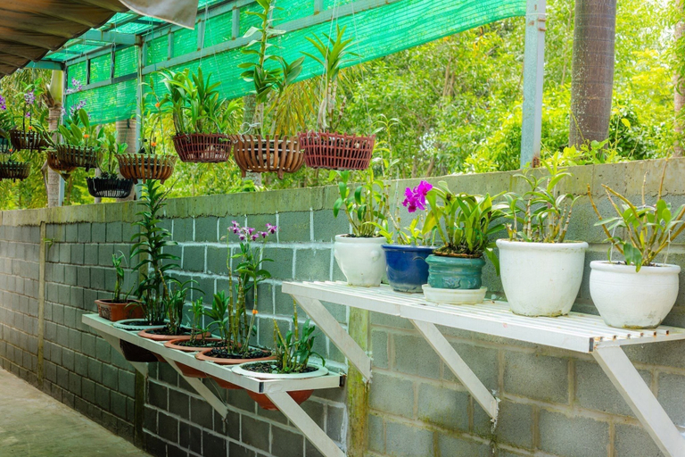 Others 5, Bungalow Tài Phát, Phú Quốc