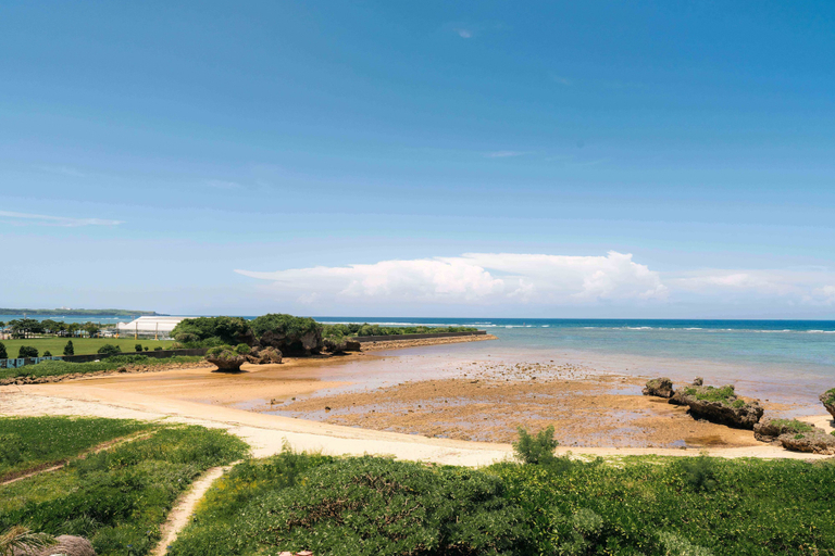 Terrace/patio 5, LoveOkinawa – 180° Ocean View Onna 1DK Seaside Stay, Onna