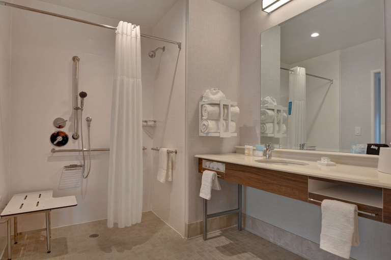Bathroom 4, Hampton Inn & Suites Nashville Downtown Capitol View, Davidson