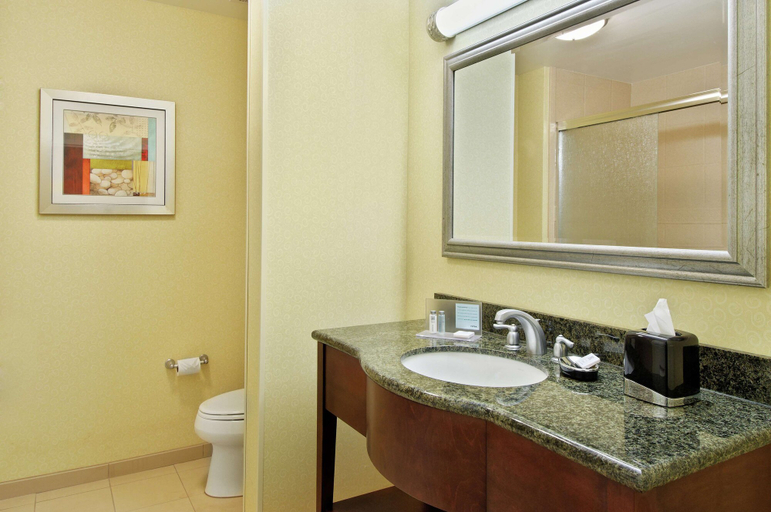 Bathroom 4, Hampton Inn & Suites Knoxville-Turkey Creek/Farragut, Knox