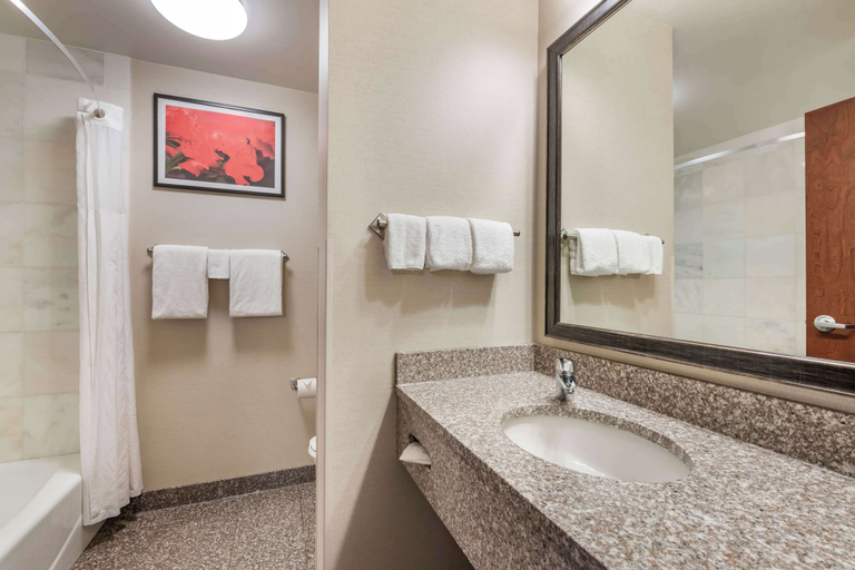 Bathroom 4, Drury Plaza Hotel Valdosta, Lowndes