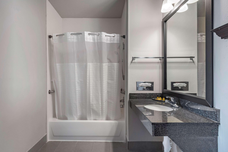 Bathroom 4, BEST WESTERN PLUS McKinney Inn & Suites, Collin